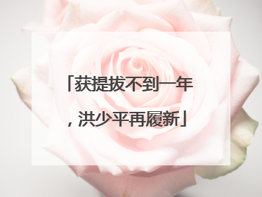 获提拔不到一年，洪少平再履新