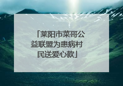 莱阳市菜哥公益联盟为患病村民送爱心款