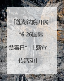 莲湖法院开展“6·26国际禁毒日”主题宣传活动