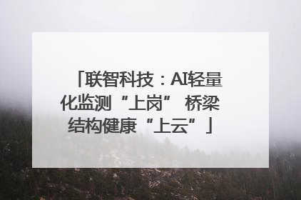 联智科技：AI轻量化监测“上岗” 桥梁结构健康“上云”