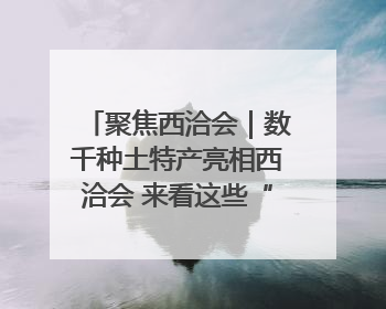 聚焦西洽会｜数千种土特产亮相西洽会 来看这些“爆款”产品