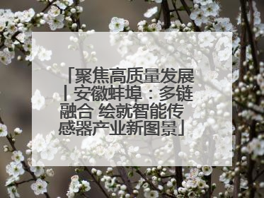 聚焦高质量发展丨安徽蚌埠：多链融合 绘就智能传感器产业新图景