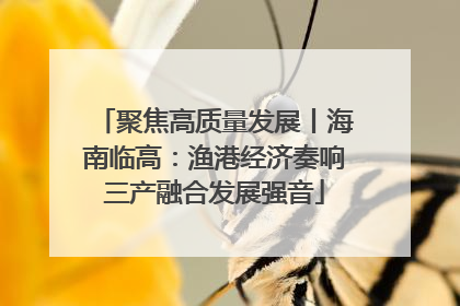 聚焦高质量发展丨海南临高：渔港经济奏响三产融合发展强音