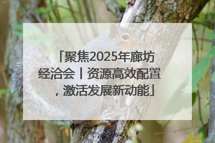 聚焦2025年廊坊经洽会丨资源高效配置，激活发展新动能