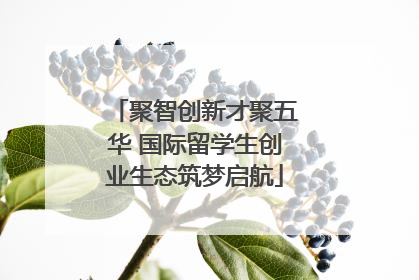 聚智创新才聚五华 国际留学生创业生态筑梦启航