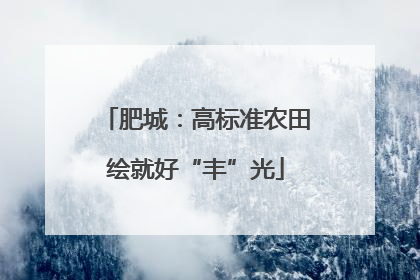 肥城：高标准农田绘就好“丰”光