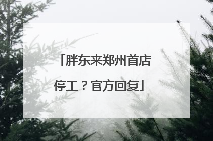 胖东来郑州首店停工？官方回复