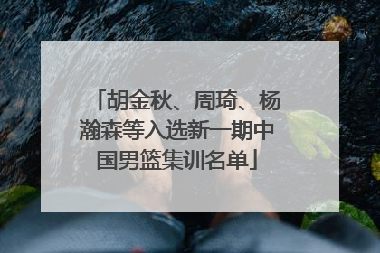 胡金秋、周琦、杨瀚森等入选新一期中国男篮集训名单