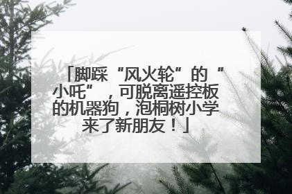 脚踩“风火轮”的“小吒”，可脱离遥控板的机器狗，泡桐树小学来了新朋友！