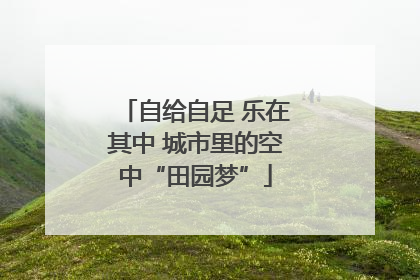 自给自足 乐在其中 城市里的空中“田园梦”