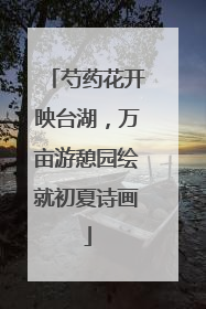 芍药花开映台湖，万亩游憩园绘就初夏诗画