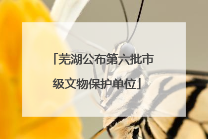 芜湖公布第六批市级文物保护单位