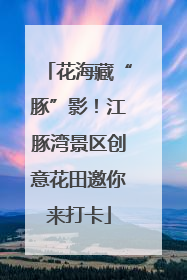 花海藏“豚”影！江豚湾景区创意花田邀你来打卡