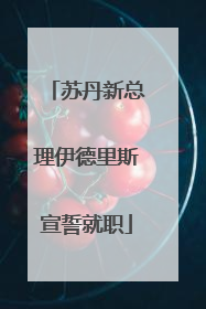 苏丹新总理伊德里斯宣誓就职
