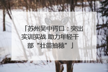 苏州吴中胥口：突出实训实战 助力年轻干部“壮苗抽穗”