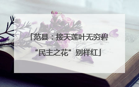 范县：接天莲叶无穷碧 “民主之花”别样红