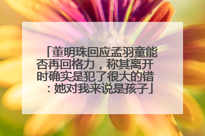 董明珠回应孟羽童能否再回格力，称其离开时确实是犯了很大的错：她对我来说是孩子