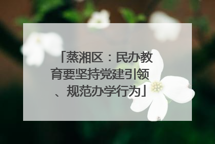 蒸湘区：民办教育要坚持党建引领、规范办学行为