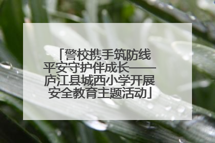 警校携手筑防线 平安守护伴成长——庐江县城西小学开展安全教育主题活动