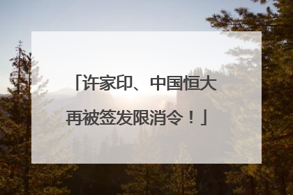 许家印、中国恒大再被签发限消令！