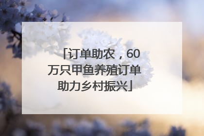 订单助农，60万只甲鱼养殖订单助力乡村振兴