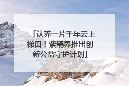 认养一片千年云上梯田！紫鹊界推出创新公益守护计划