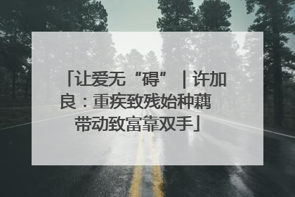 让爱无“碍”｜许加良：重疾致残始种藕 带动致富靠双手