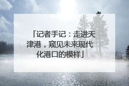 记者手记：走进天津港，窥见未来现代化港口的模样