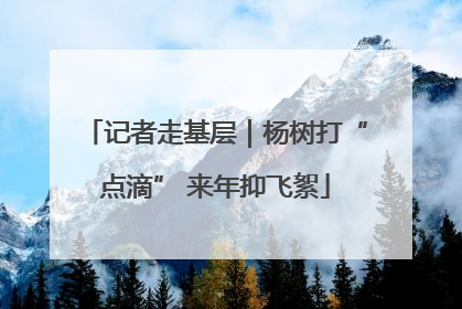 记者走基层｜杨树打“点滴” 来年抑飞絮
