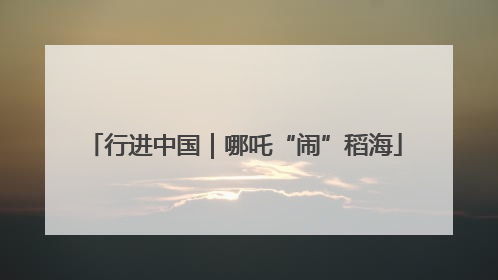 行进中国｜哪吒“闹”稻海