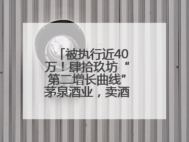 被执行近40万！肆拾玖坊“第二增长曲线”茅泉酒业，卖酒还是卖模式？