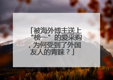 被海外博主送上“榜一”的爱采购，为何受到了外国友人的青睐？