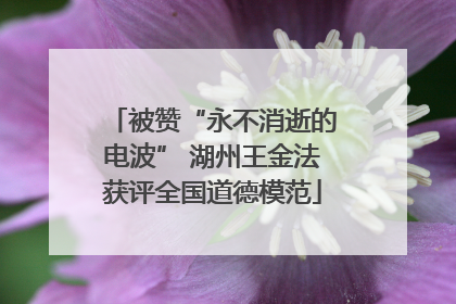 被赞“永不消逝的电波” 湖州王金法获评全国道德模范