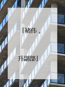 褚伟，升副部