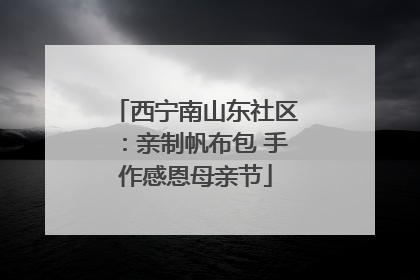 西宁南山东社区：亲制帆布包 手作感恩母亲节