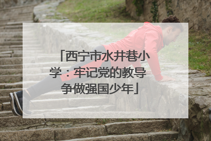 西宁市水井巷小学：牢记党的教导 争做强国少年