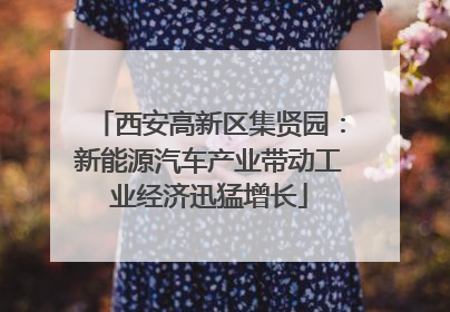 西安高新区集贤园：新能源汽车产业带动工业经济迅猛增长