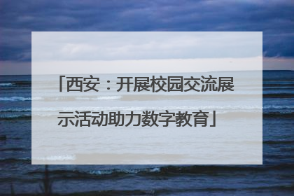 西安：开展校园交流展示活动助力数字教育