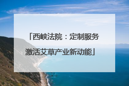 西峡法院：定制服务激活艾草产业新动能