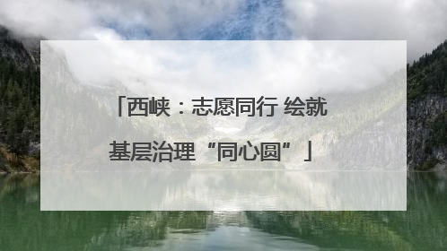 西峡：志愿同行 绘就基层治理“同心圆”