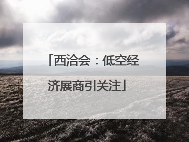西洽会：低空经济展商引关注