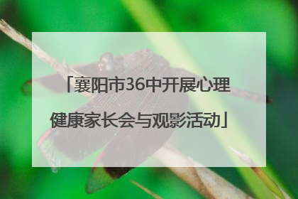 襄阳市36中开展心理健康家长会与观影活动