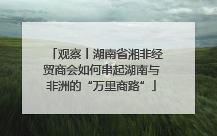 观察丨湖南省湘非经贸商会如何串起湖南与非洲的“万里商路”