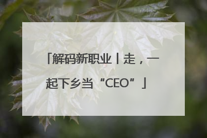 解码新职业丨走，一起下乡当“CEO”