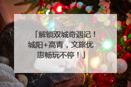 解锁双城奇遇记！城阳+高青，文旅优惠畅玩不停！