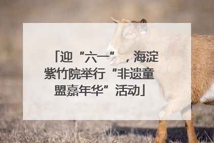 迎“六一”，海淀紫竹院举行“非遗童盟嘉年华”活动