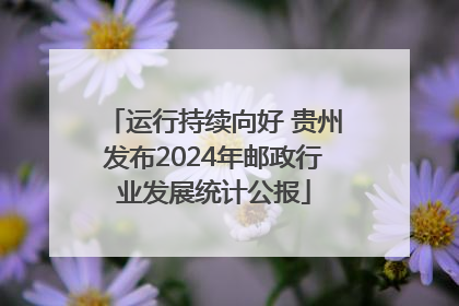 运行持续向好 贵州发布2024年邮政行业发展统计公报