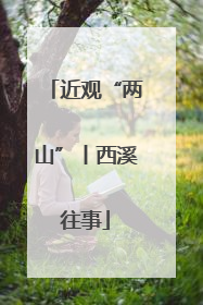 近观“两山”丨西溪往事