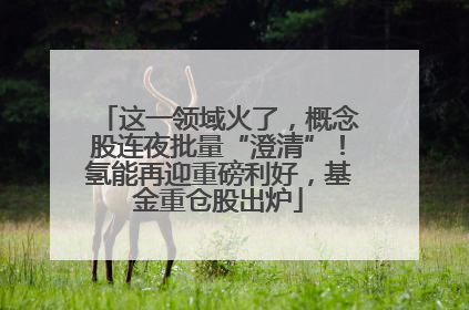 这一领域火了，概念股连夜批量“澄清”！氢能再迎重磅利好，基金重仓股出炉