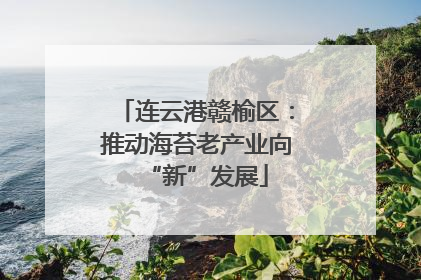连云港赣榆区：推动海苔老产业向“新”发展